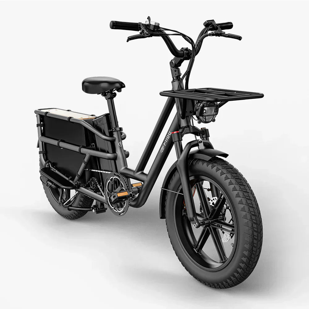 Fiido T2 Vélo électrique Longtail Fatbike Cargo